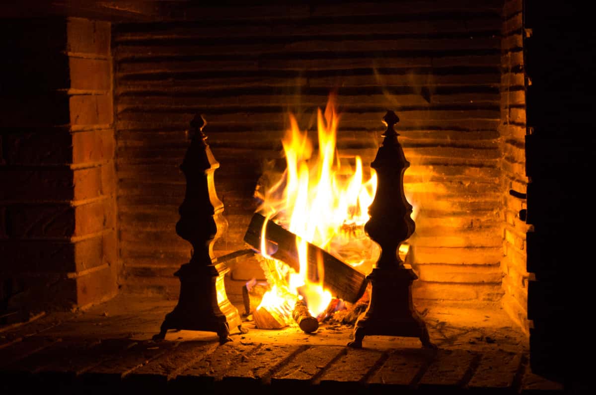 20121013 IMGP2931-1000px-60